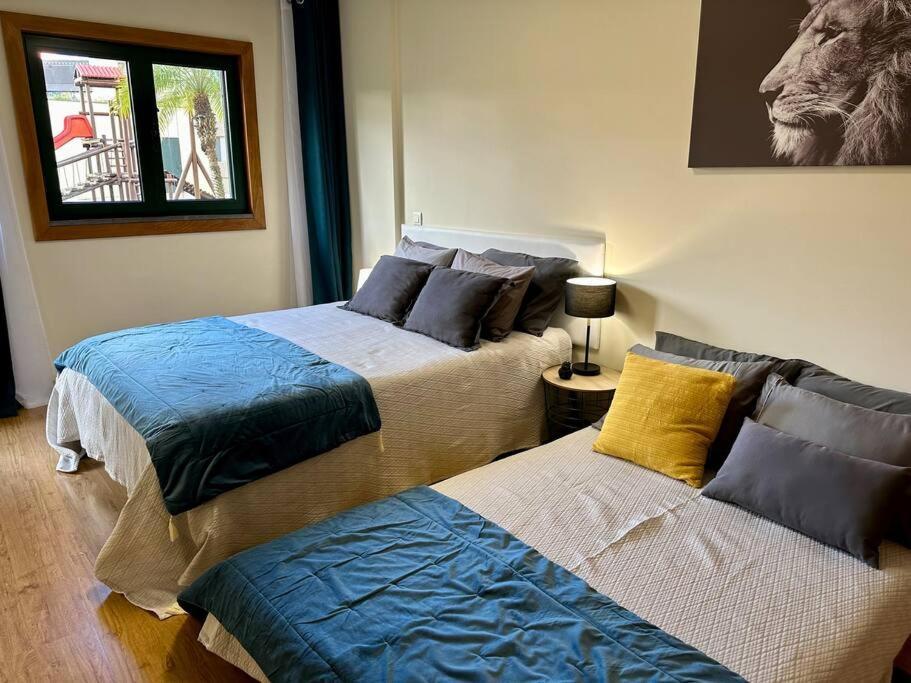 Super Anadia - Turquesa Apartment Funchal  Ngoại thất bức ảnh
